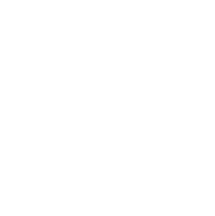Concessionaria Giovanili